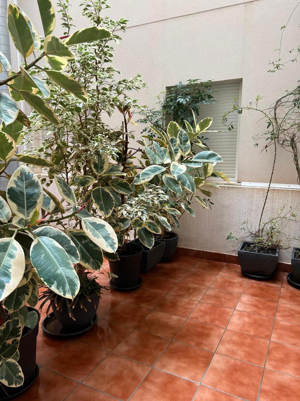 Apartmán Pura Vida Águilas Exteriér fotografie